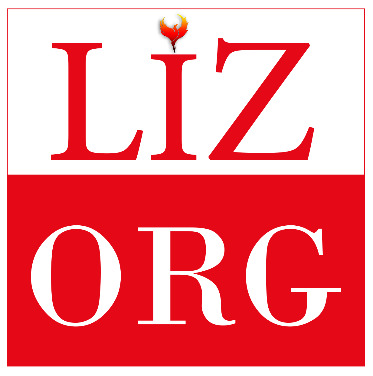 Liz Organization
